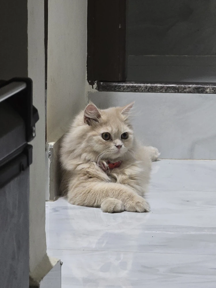 GIF uploaded by Anubhab
