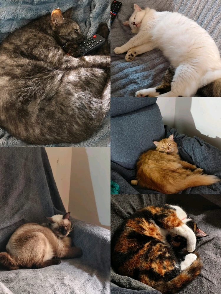 GIF uploaded by 𝓙𝓪𝔂𝓷𝓮
