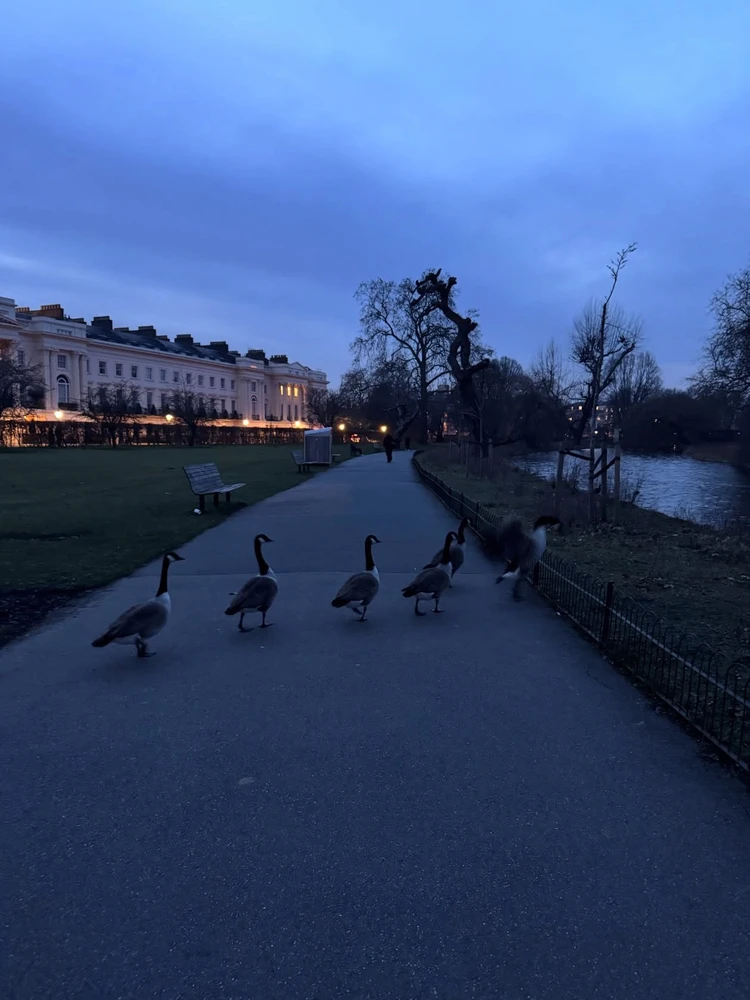 GIF uploaded by Aniket