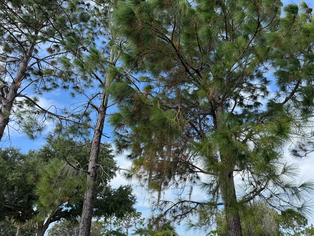 Image uploaded by Kenzie