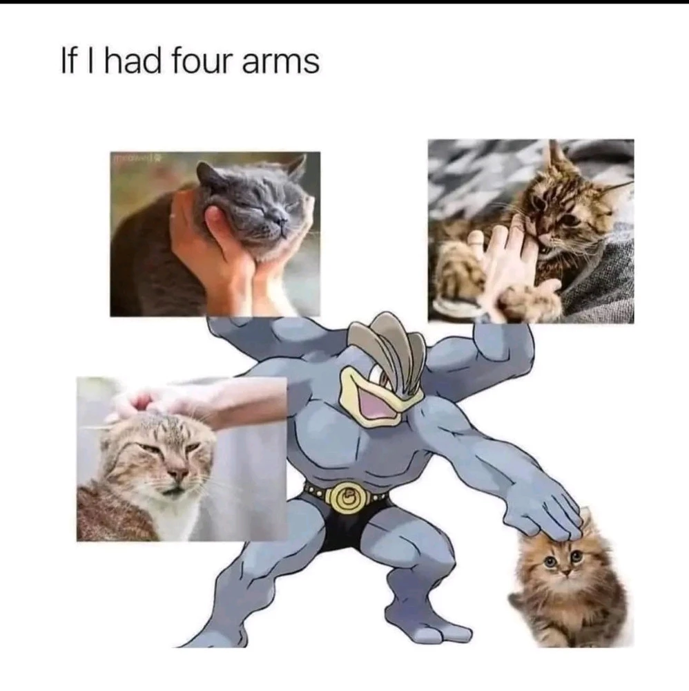 GIF nahrál P