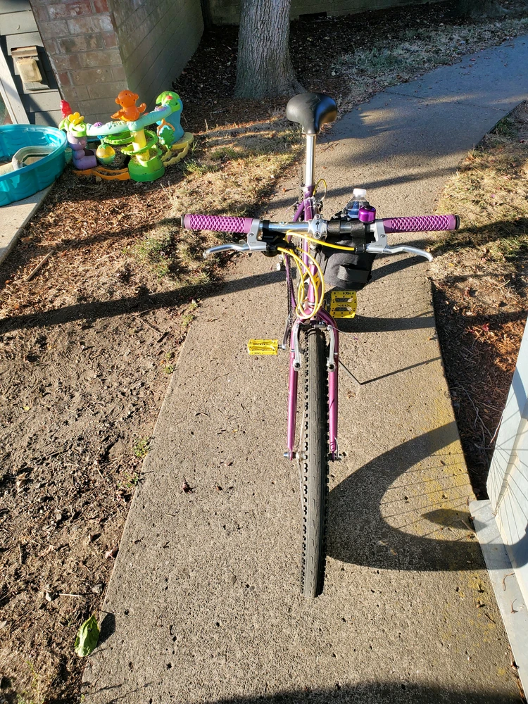 Barney the purple and yellow Specialized RockHopper 