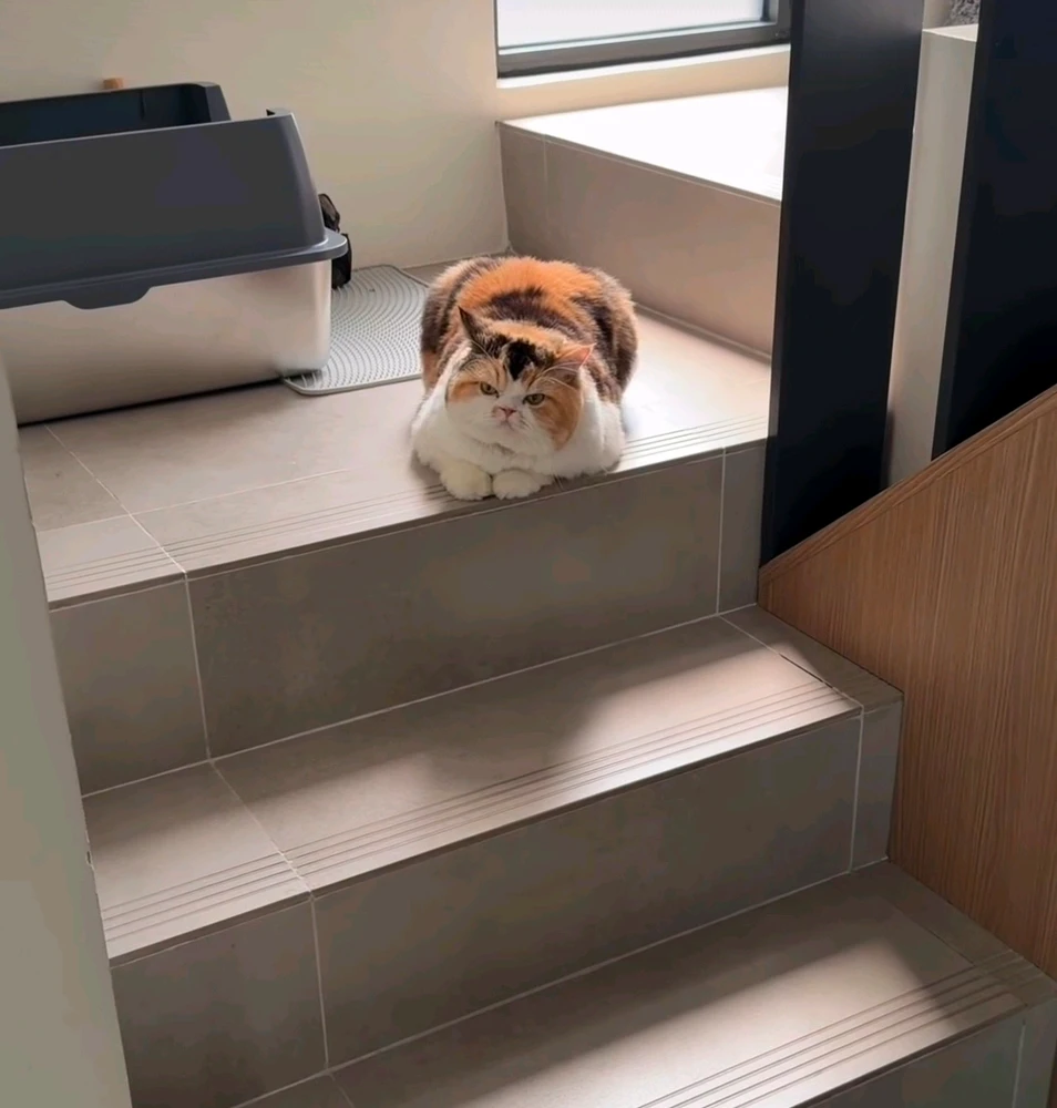 Vinica上传的GIF