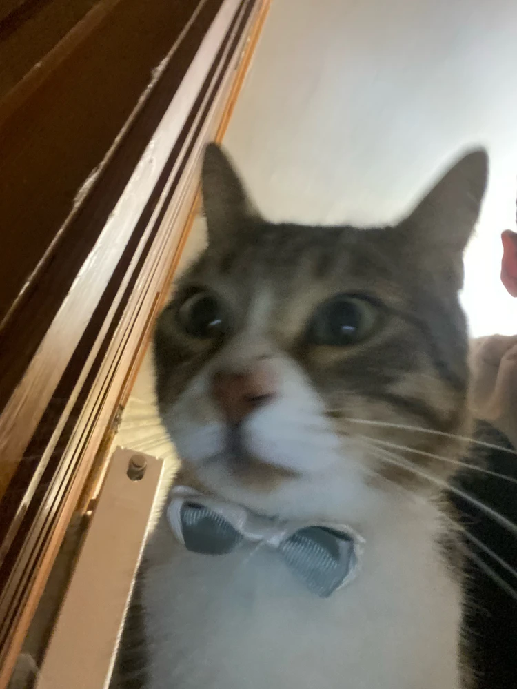 GIF uploaded by Korhan