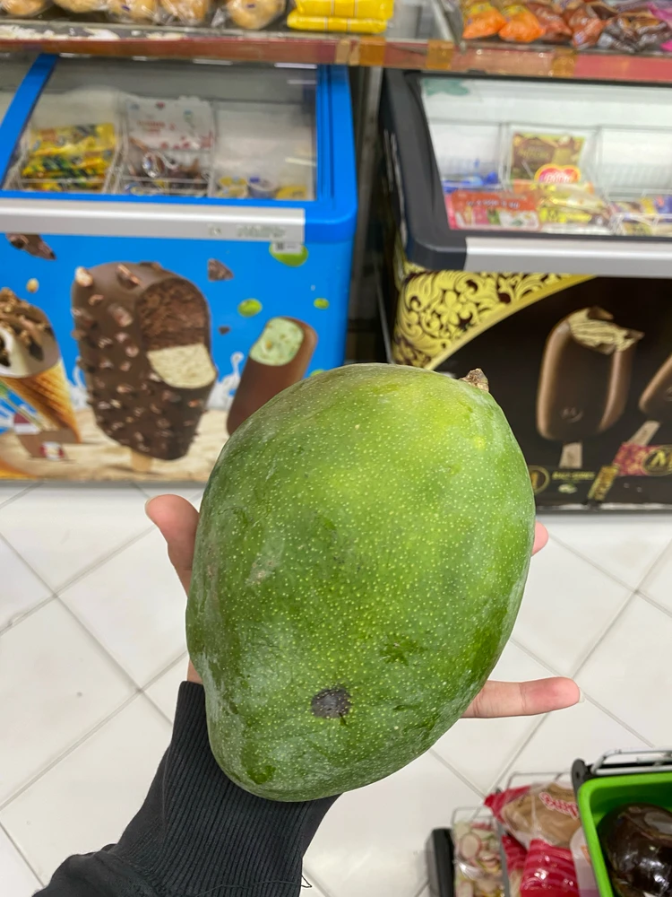 Adel tarapyndan ýüklenen surat