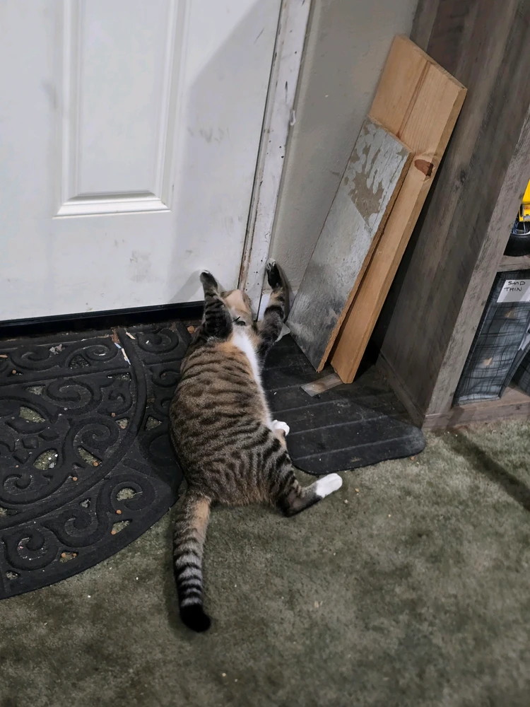 GIF uploaded by Brandon