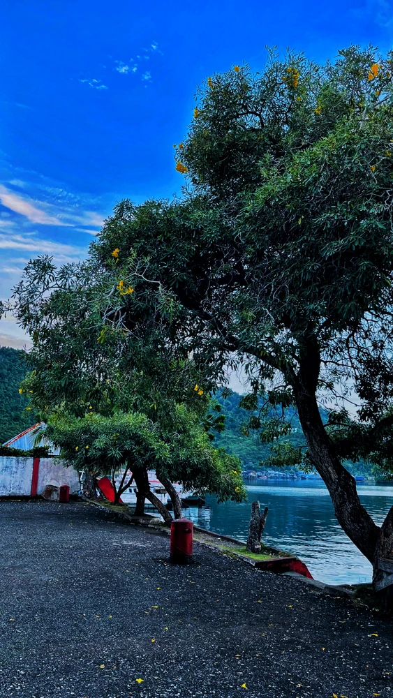 Image uploaded by Risma