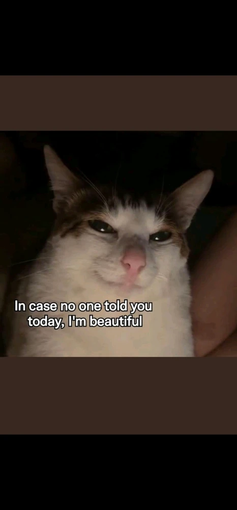 GIF uploaded by Empress