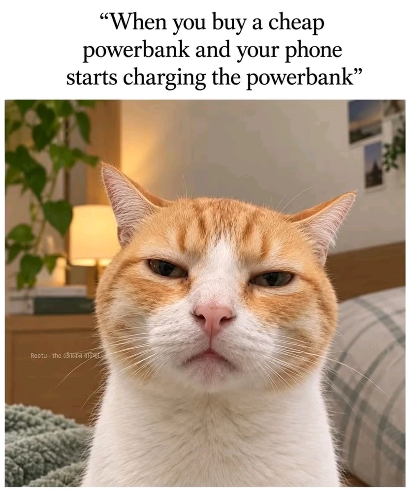 Meggy жүктөгөн GIF