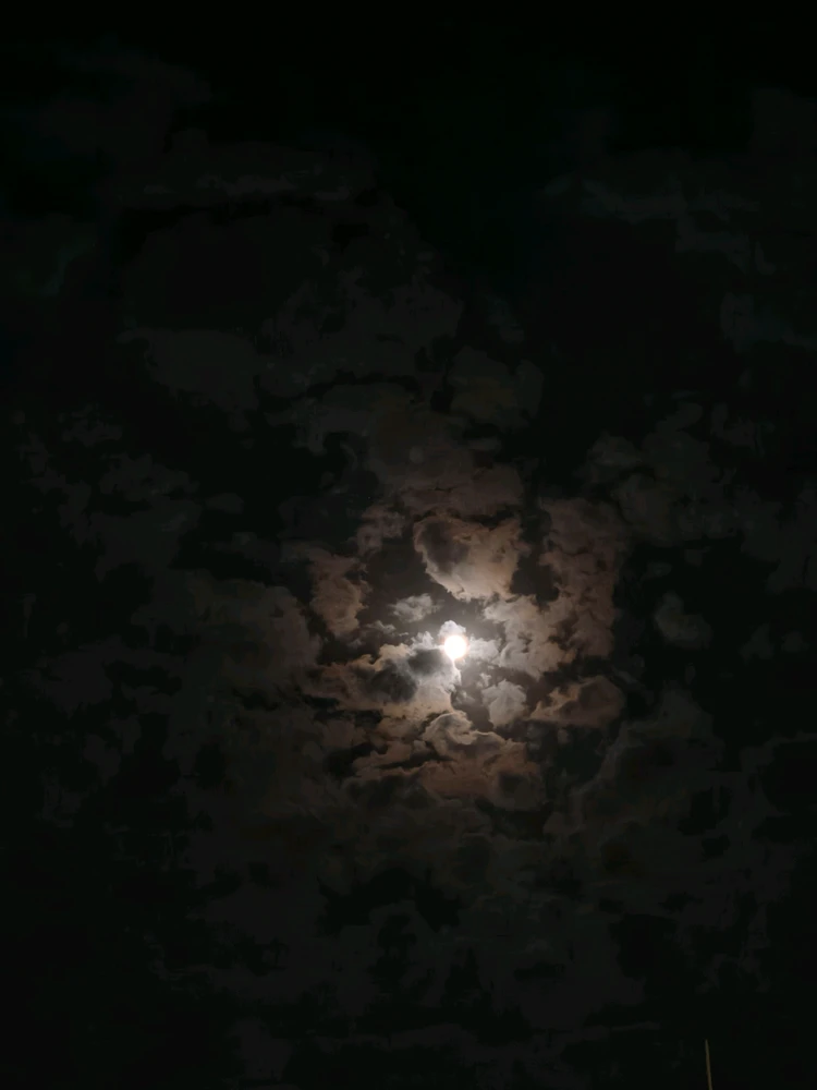 Image uploaded by Krishna Bhansali