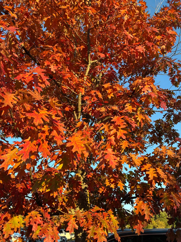 GIF uploaded by Ella