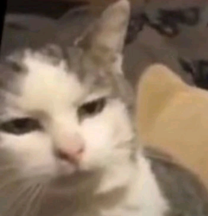 GIF uploaded by Vali