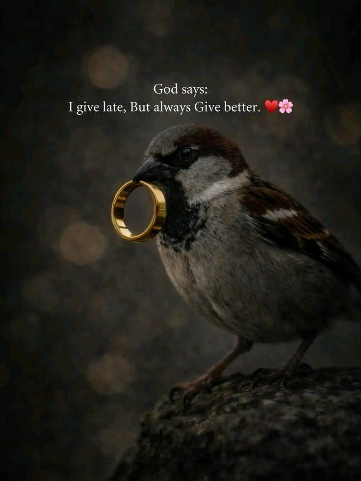 GIF subido por Angel