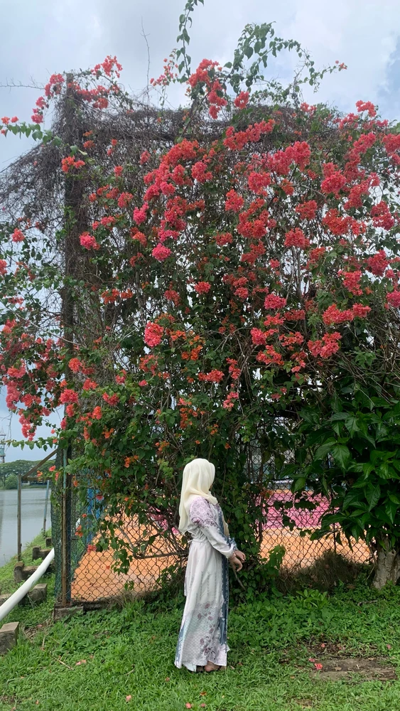 GIF uploaded by amayaayyy