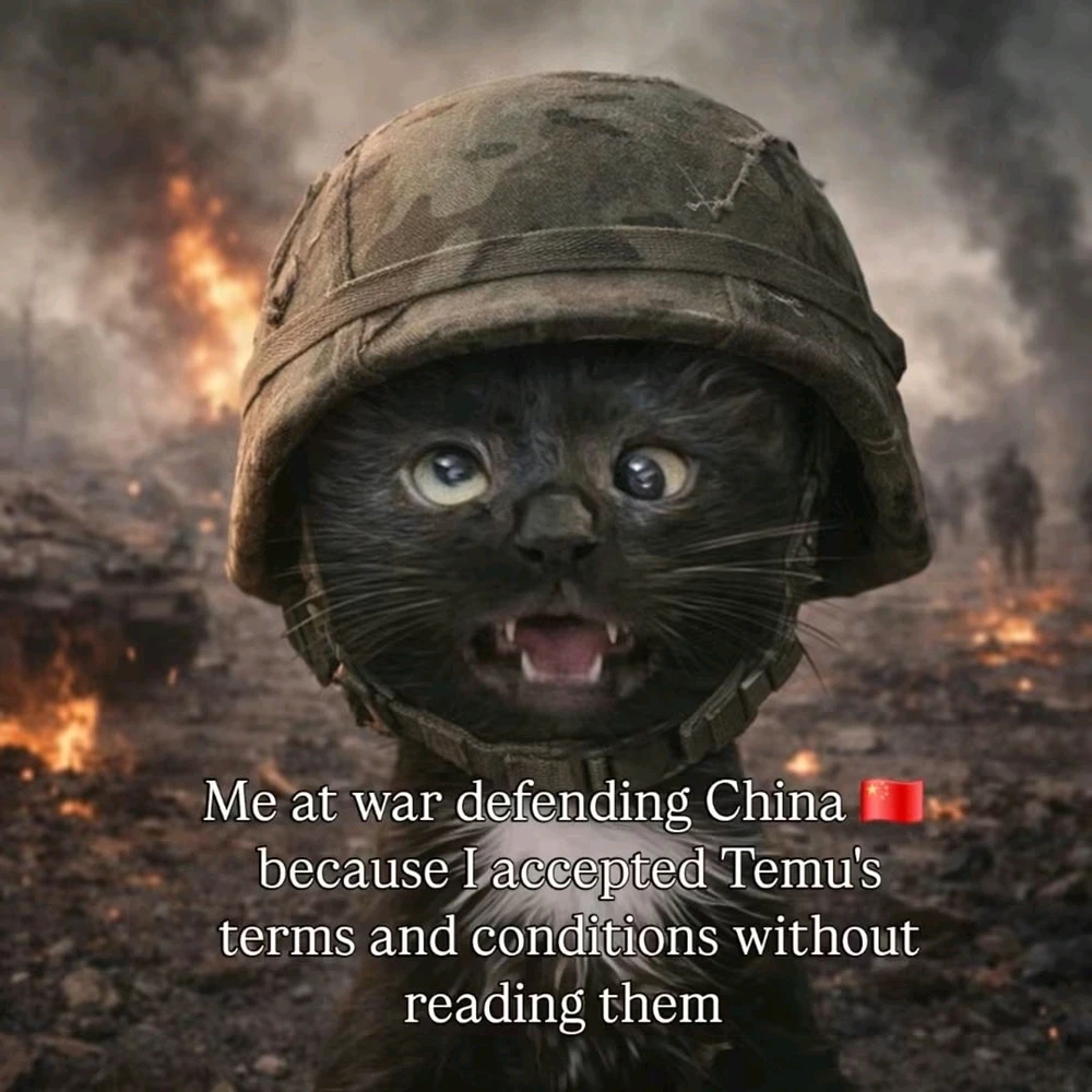 GIF eropgeluede vum Meggy