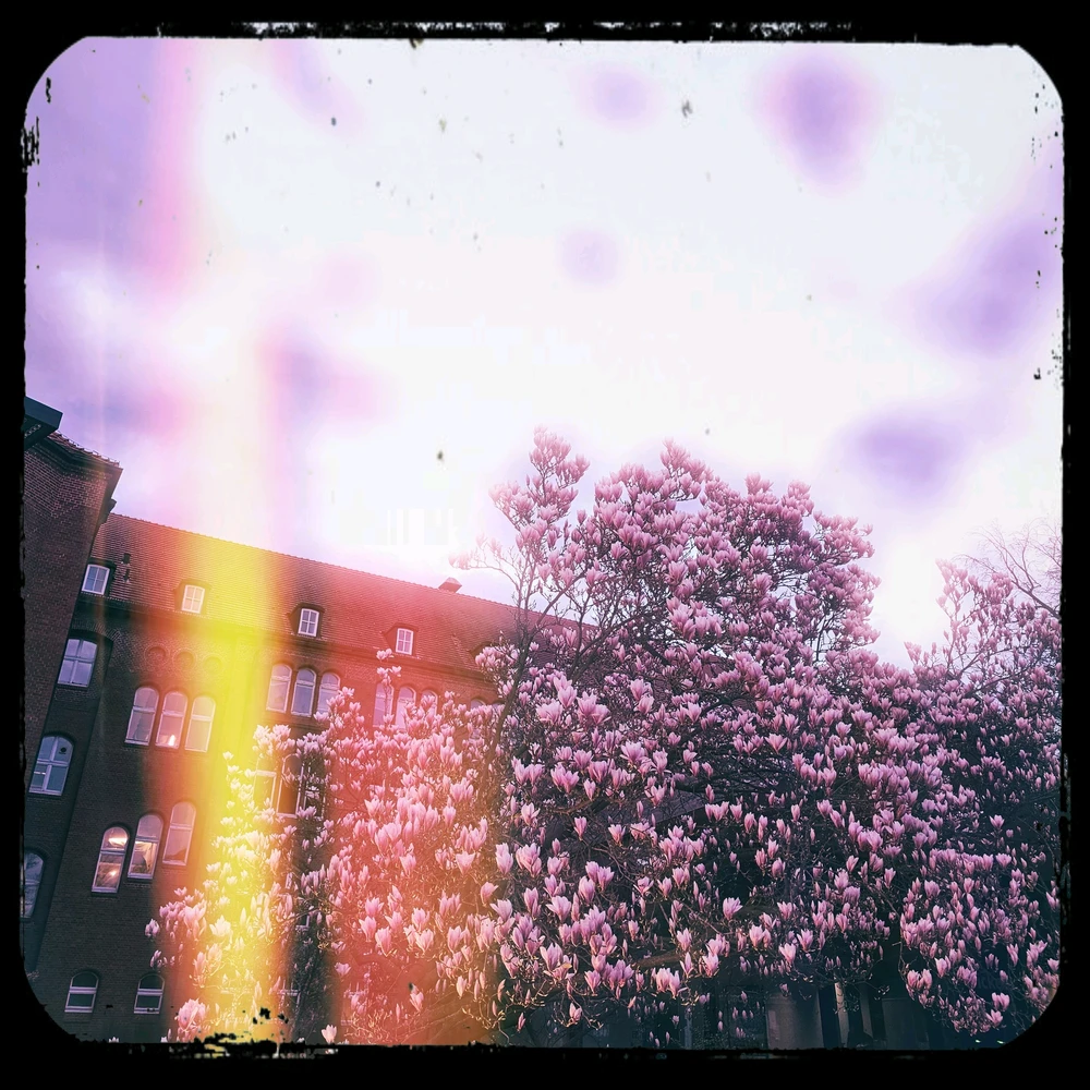 GIF uploaded by Leilani