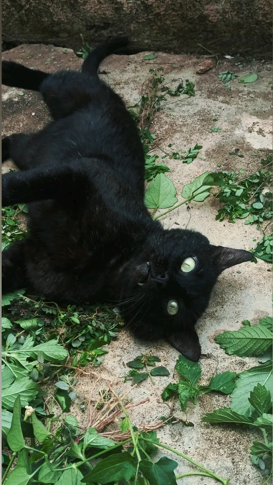 Fabyy tərəfindən yüklənən şəkil