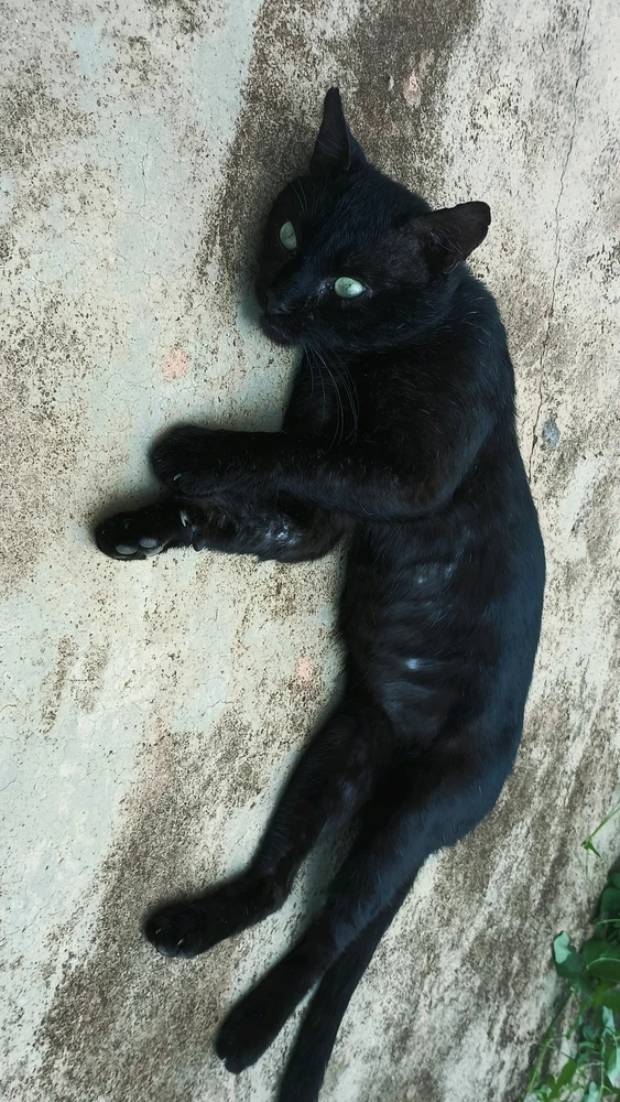Fabyy tərəfindən yüklənən şəkil