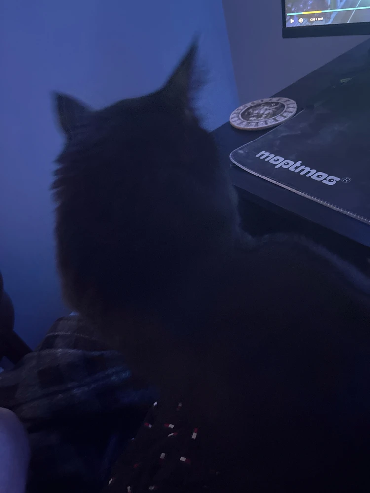 GIF загружаны Hunter