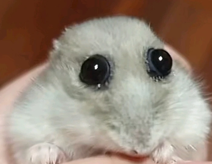 GIF uploaded by Shean
