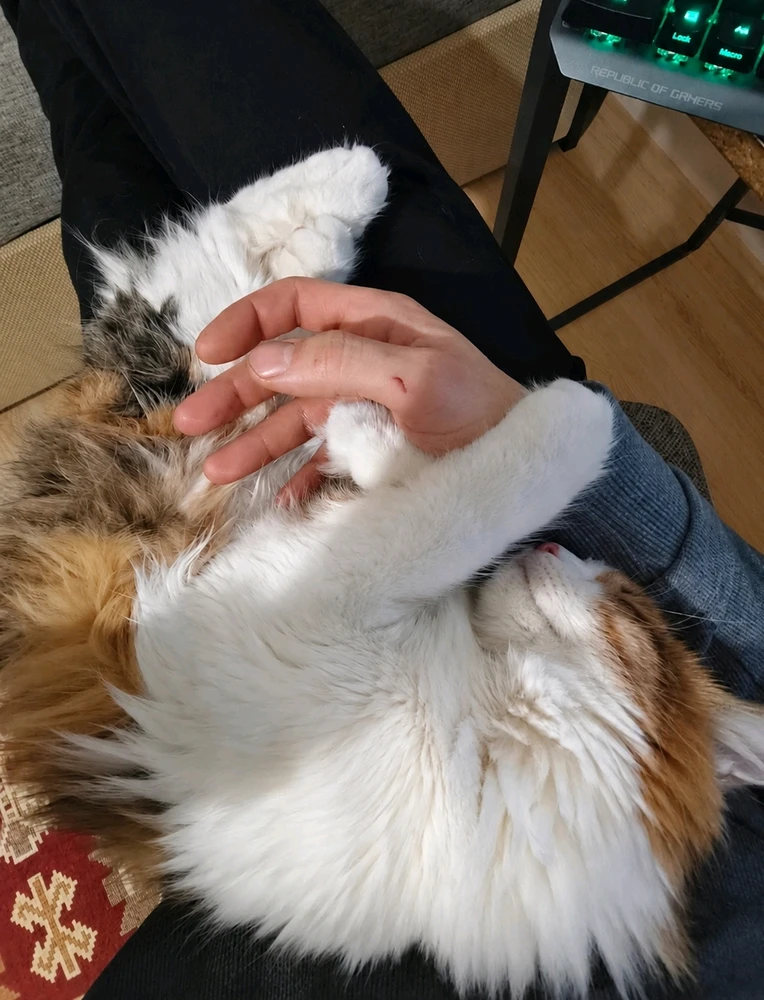İbrahim上传的GIF