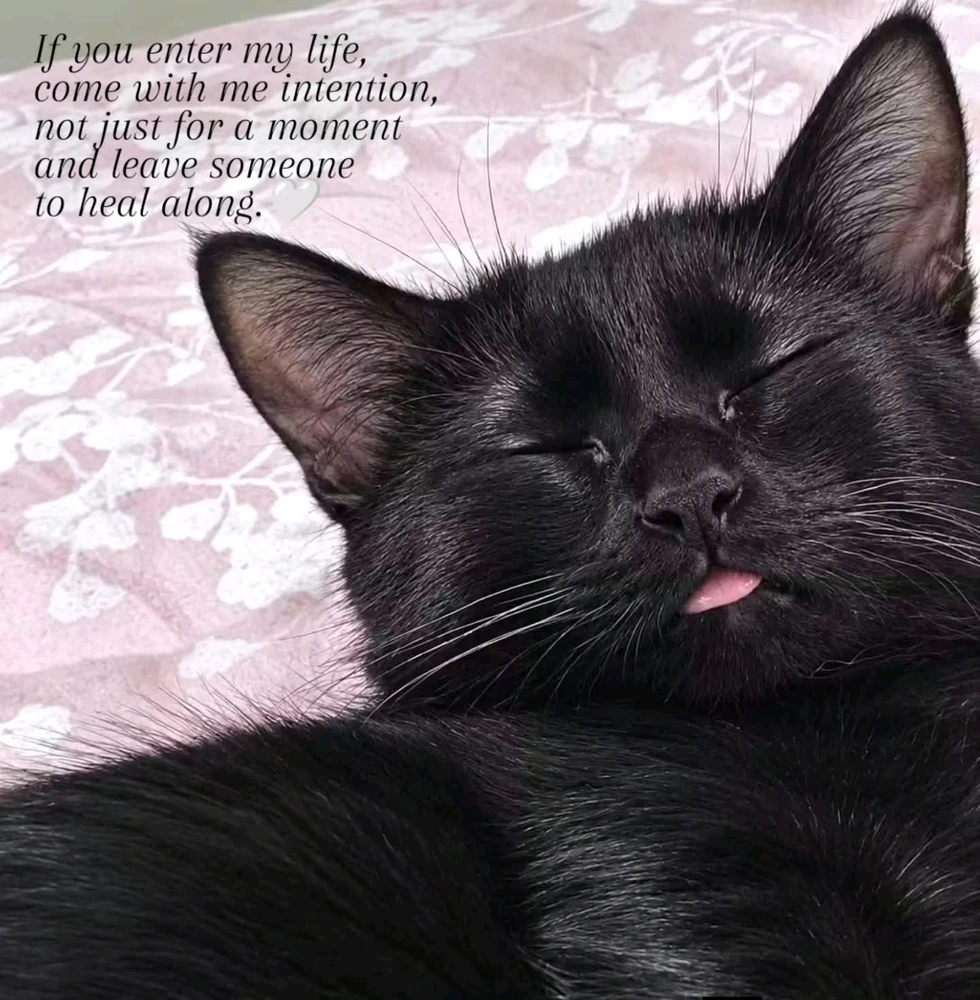 GIF uploaded by 𝓑𝓾𝓽𝓽𝓮𝓻𝓯𝓵𝔂
