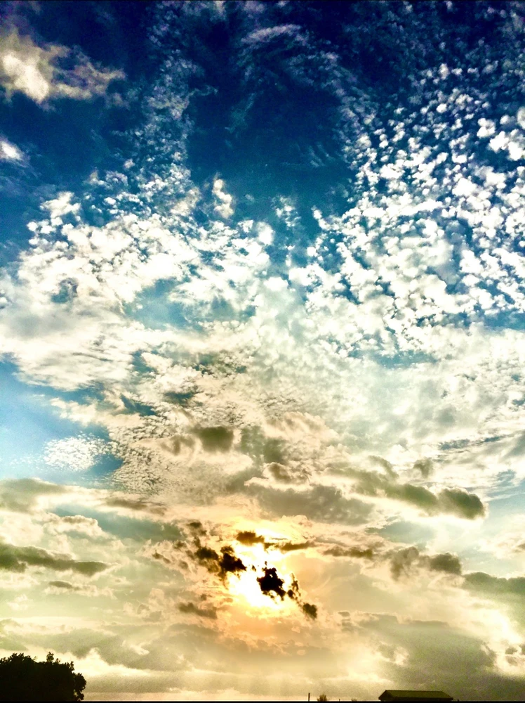 Lara tarafından yüklenen GIF