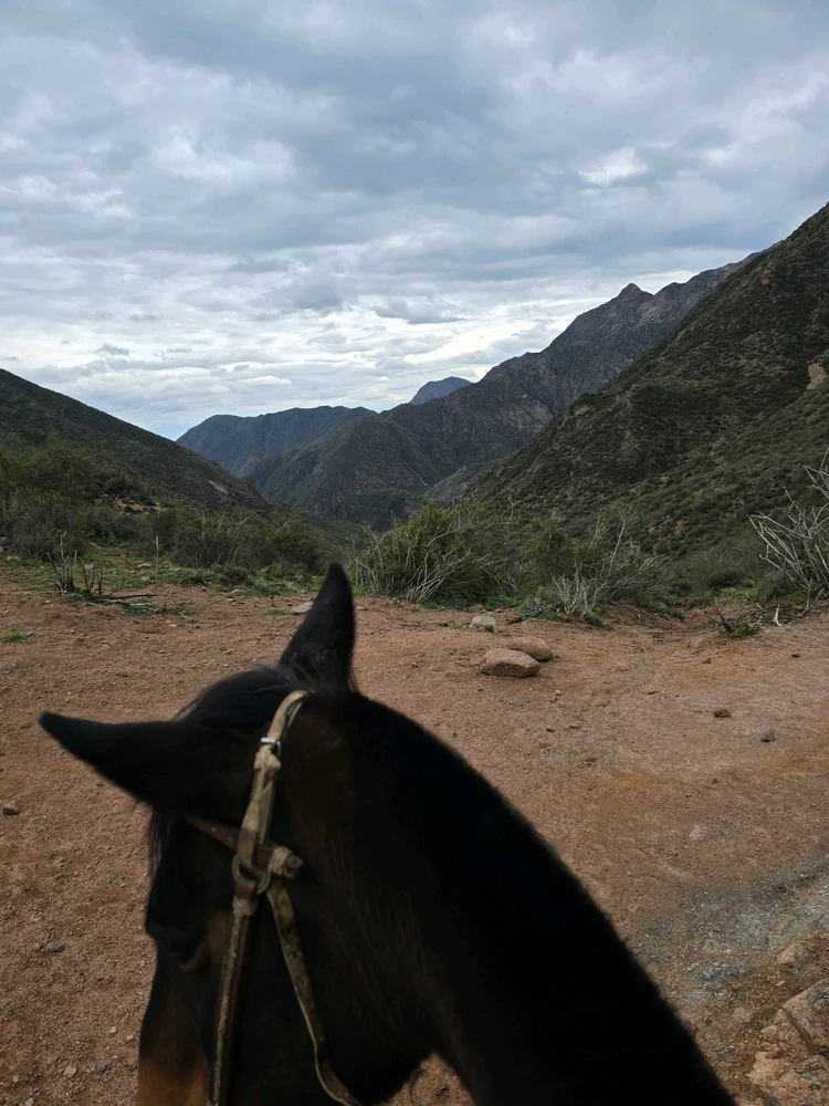 Image uploaded by Cam