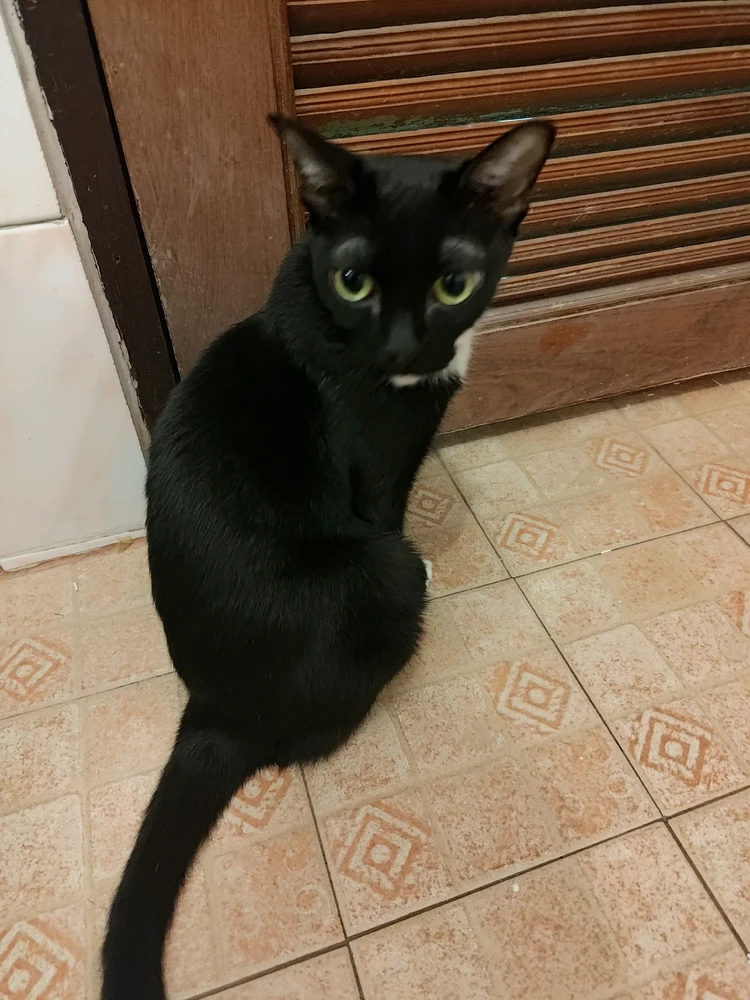 ZoeyがアップロードしたGIF