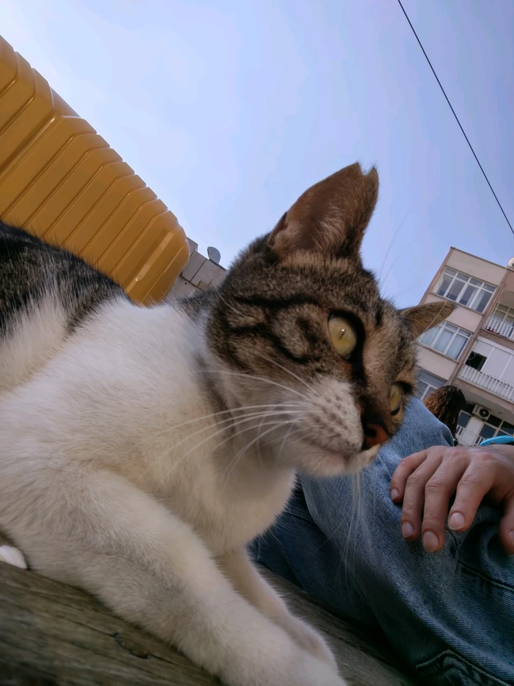 GIF uploaded by Mert