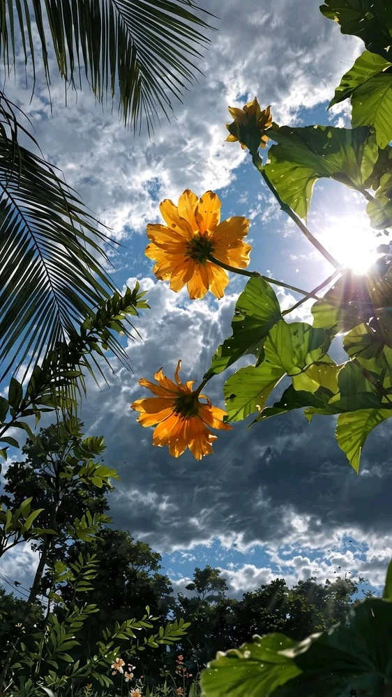 GIF uploaded by Anas