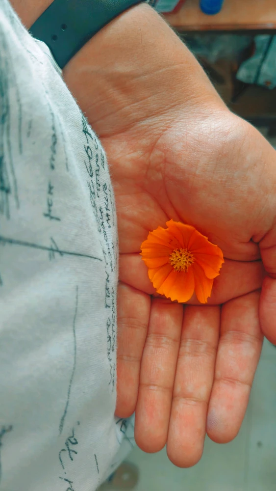 GIF uploaded by Sageye ( Vedant )