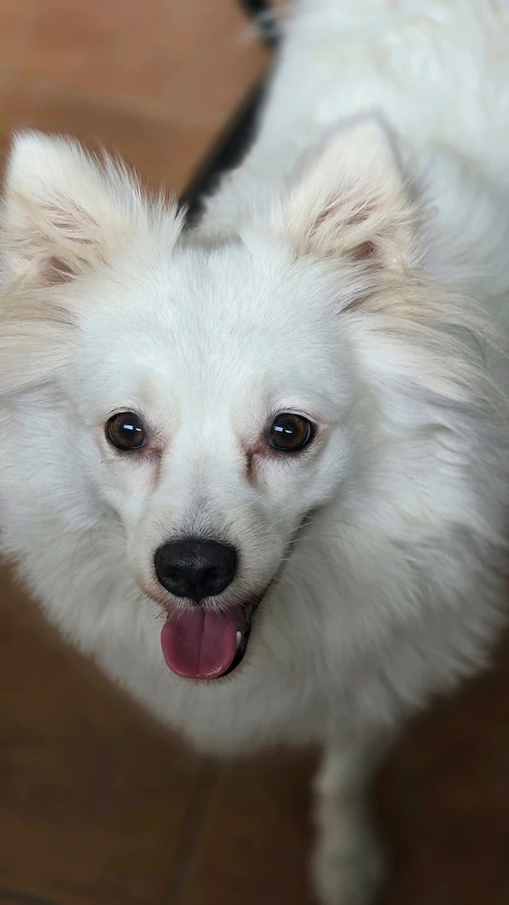 Ảnh do Trix tải lên
