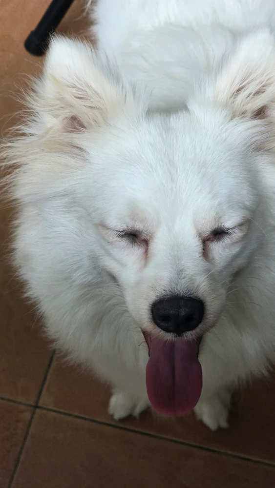 Ảnh do Trix tải lên