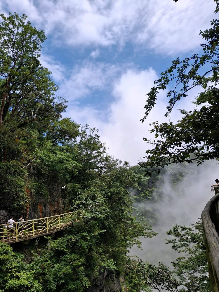 Image uploaded by Zii