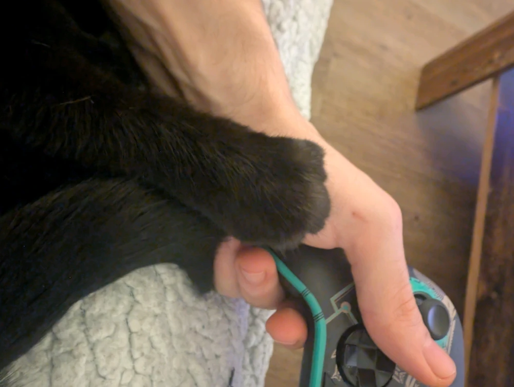 RafaelがアップロードしたGIF