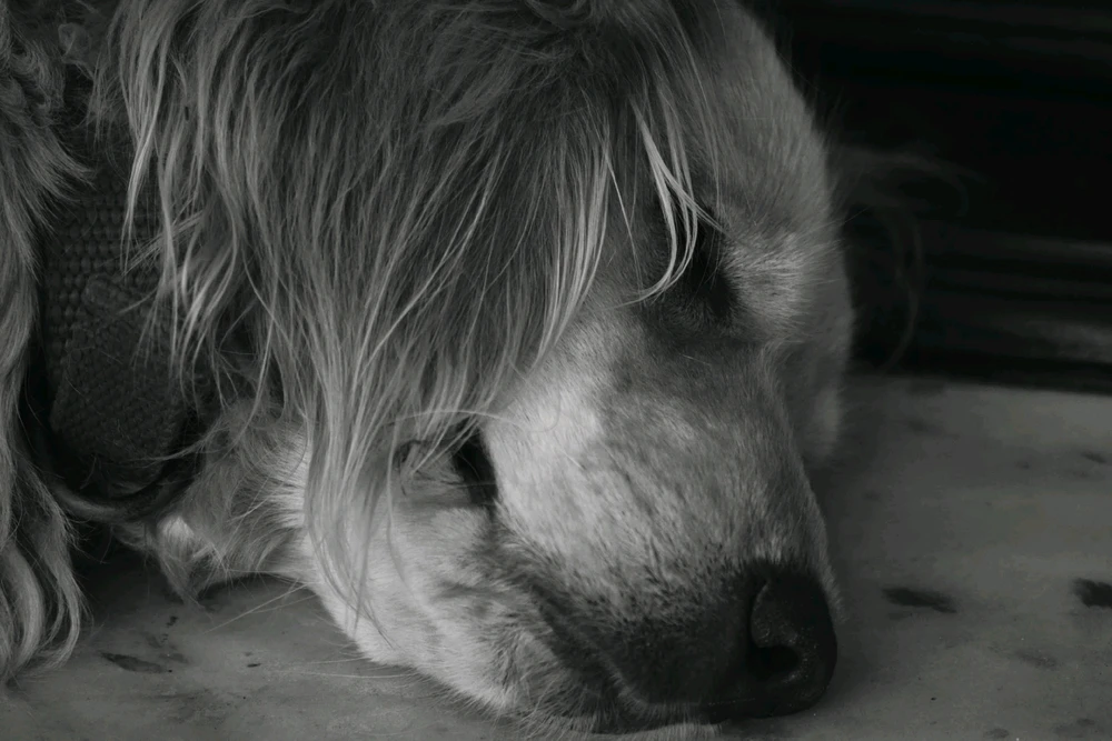 GIF uploaded by Vinny
