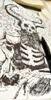 Profile picture of Alchemist