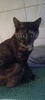 Profilbild von Birgit