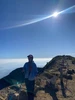 Stampa tal-profil ta' Ela