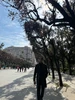 Profile picture of Qasim