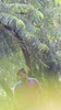 Profile picture of Nithin