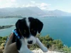 Profile picture of Inne