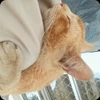 Profile picture of ABI