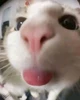 Profile picture of Matilda