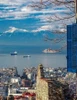 Φωτογραφία προφίλ του/της KONSTANTINOS