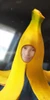 Profilbild för Marcos