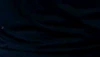 Profile picture of Snp-jk2432422