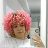 Profile picture of Lan