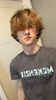Profilbillede af dingo